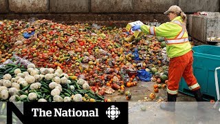 Canadians get creative in solving food waste problem