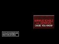 Markus Schulz feat. Departure - Cause You Know ...