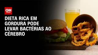 Vídeo: Dieta rica em gordura abre passagem de bactérias ao cérebro, diz estudo | LIVE CNN