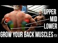 Make Your Back WIDER (3 Exercises to build your V-Taper)