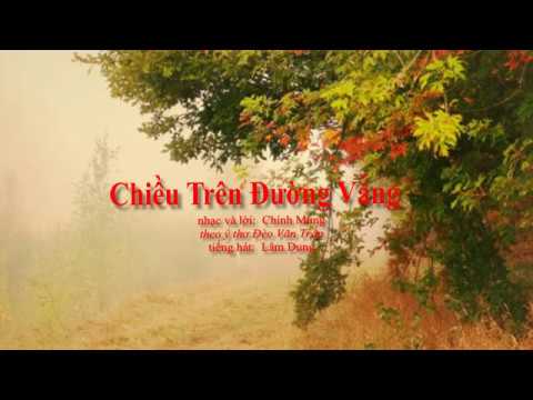 Chiều trên đường vắng - Lâm Dung