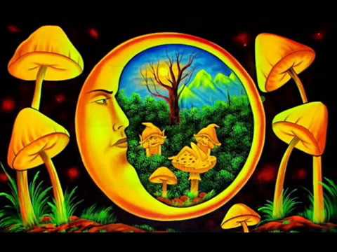 Shane Gobi - Boom Festival 2012 Set