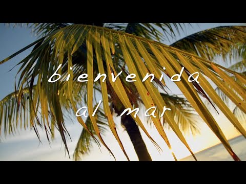 Carlos Gabriel Klein - Bienvenida al mar (Lyric Video)