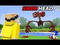 L Am Adaugat Pe Siren Head In Minecraft