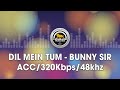 Dil Mein Tum Bunny SIR