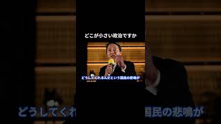 【どこが小さい政治ですか】 #国民民主党 #榛葉賀津也 #榛葉幹事長 #玉木雄一郎