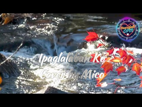 Ipaglalaban Ko Cover by Mico