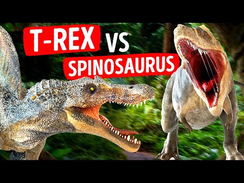 The King of the Land VS The King of the Water