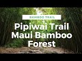 Pipiwai Trail Maui Bamboo Forest