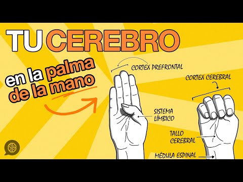 Tu cerebro en la palma de la mano