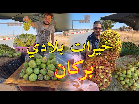 موسم الزفزوف فاكهة كرموس العنب خيرات بلادي إقليم بركان 