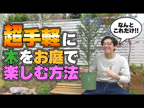 小さなエリアを飾るために鉢植えの木をテラスに適応させるにはどうすればよいですか？  庭園