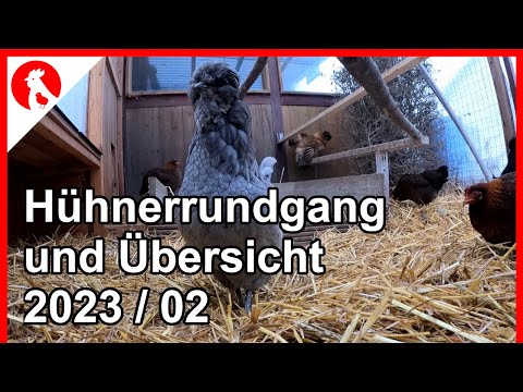 F154 Hühnerrundgang 2023/02 und Übersicht -  Jensman and the Huhns