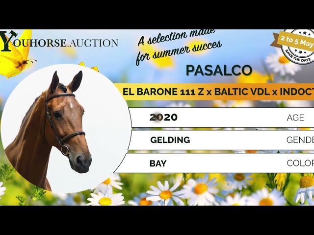 Pasalco showvideo