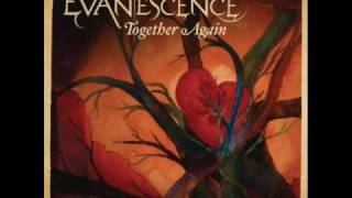 Evanescence - Together Again