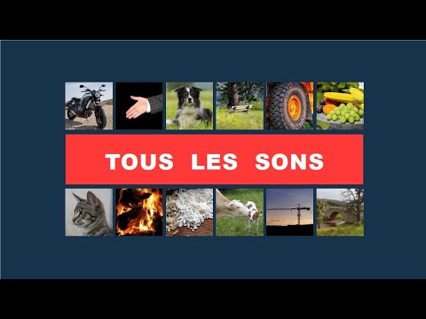 LEARN FRENCH - LES SONS DU FRANCAIS