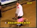 1984 Melbourne Cup Greyhound Race