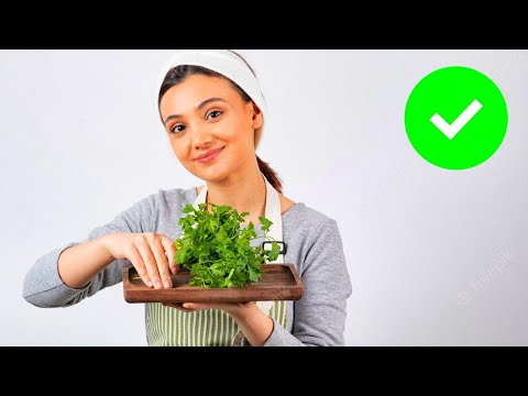 PROPERTIES OF PARSLEY. 6 REASONS TO USE IT IN YOUR DIET