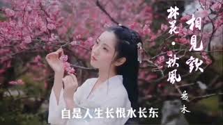 古诗词续写改编古风歌曲系列之《相见欢·林花·秋风》林花谢了春红，太匆匆。无奈朝来寒雨晚来风。
