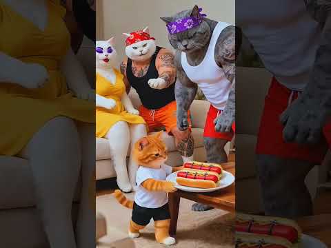 Ai cat🐱 lifestyle #trendingnow #shortvideo 