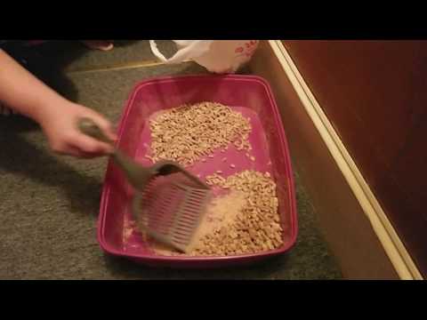 How to Clean Cat Litter Boxes Using Pine Pellets