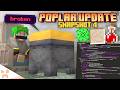 BREWING UPDATE CUSHION NERF CUSTOMIZABLE WORLD GEN Minecraft 26 3 Snapshot 4