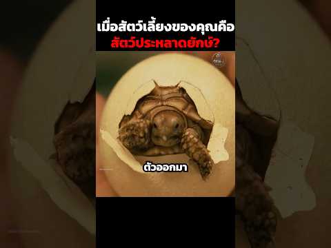 เมื่อสัตว์เลี้ยงของคุณคือสัตว์ประหลาดยักษ์? #shorts
