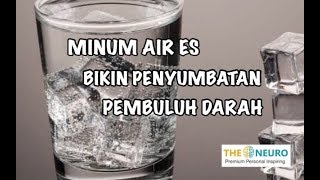 Download lagu Minum Air Es Bikin Penyumbatan Pembuluh Darah mp3