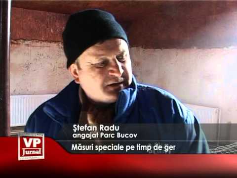 Măsuri speciale pe timp de ger
