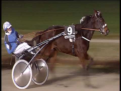 Trotto 18/12/2018 - 6ª corsa