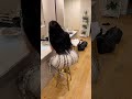 Tiktok Pawg Dance Leggings Compilation Moreviews2022 Tiktok