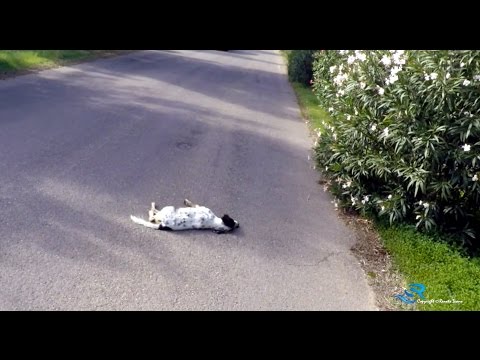 Dolore dopo il trasferimento dellembrione Si può andare in bicicletta in osteocondrosi lombare