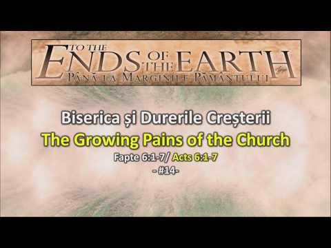 Crinisor Stefan - Biserica si durerile cresterii