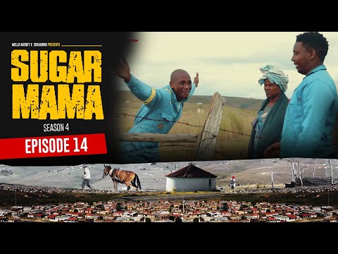 SugarMama S4 EP14