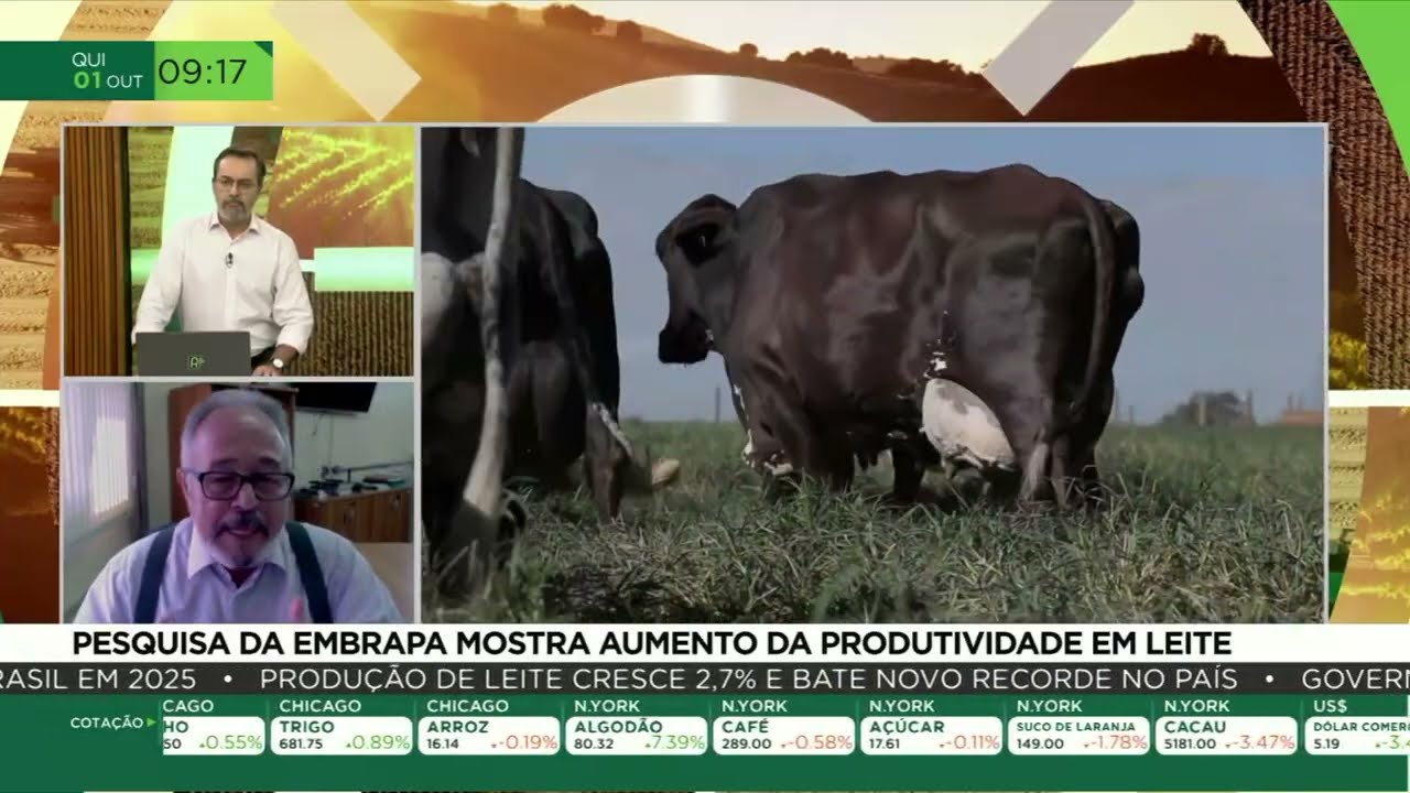 Produção de leite cresce 2,7% mesmo com queda no número de vacas ordenhadas