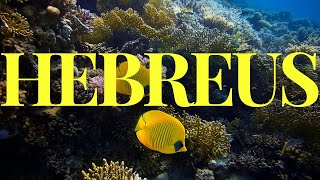 Oração Poderosa livro de Hebreus - Para sua meditação