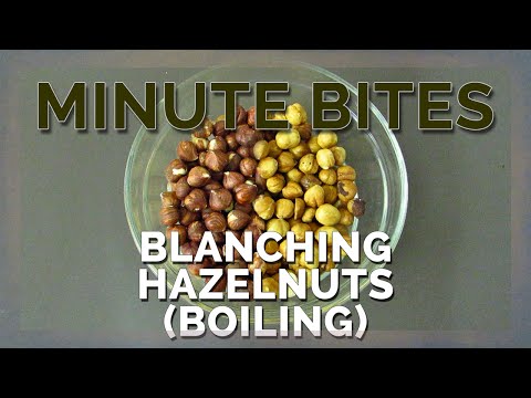 download lagu mp3 mp4 Blanched Hazelnuts Whole Foods, download lagu Blanched Hazelnuts Whole Foods gratis, unduh video klip Blanched Hazelnuts Whole Foods