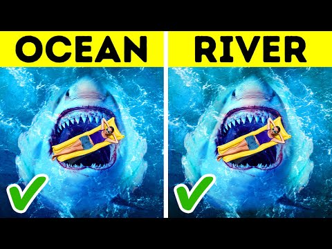 8 Things Sharks Do for You Without You Knowing