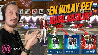 MStar Pet Nasıl Alınır? Pet Nasıl Level Atlatılır? Pratik Rehber! #Mstar_GoldenM