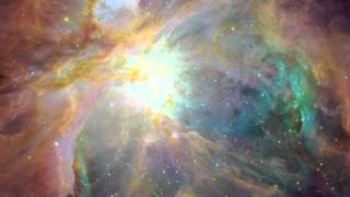 Legendary Chicken Fairy.mov