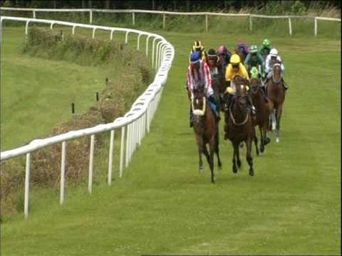 Rennverein Dresden - 17.06.2017 - 1.Rennen