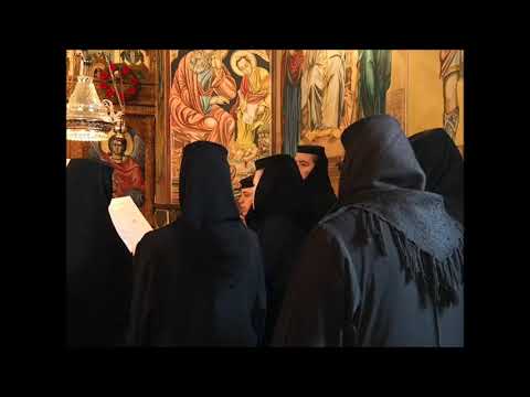 20190303 NICOLAE BALASOIU – DUMINICA INFRICOSATOAREI JUDECATI