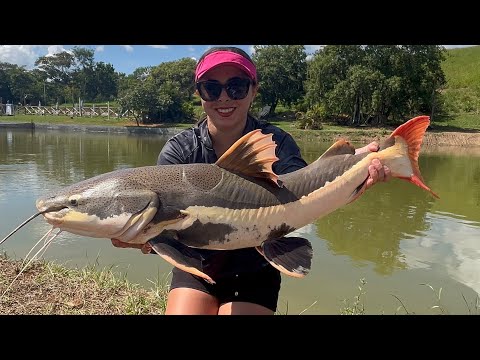 Pescaria dos brutos no pesqueiro rancho fortaleza