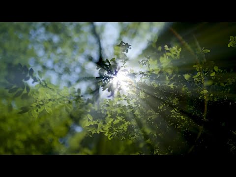 I Believe  -  Andrea Bocelli  &  Katherine Jenkins