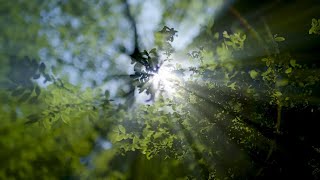 I Believe  -  Andrea Bocelli  &amp;  Katherine Jenkins