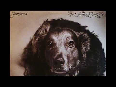 What a Little Moonlight Can Do - STRINGBAND