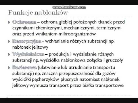 Jak podkręcić mięśnie w ramionach z domu Ćwiczenia z gumką dla mięśni piersiowych do