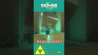 【ティアキン】光の反射なんて必要ない！？光の性質を見抜け！！【祠攻略】＃Shorts