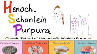 HSP