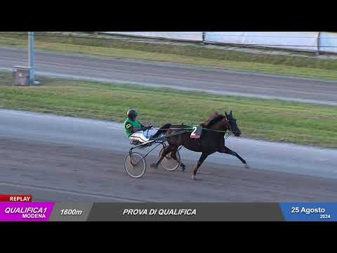 Ippodromo Ghirlandina - 25/8/2024 - Qualifica 1